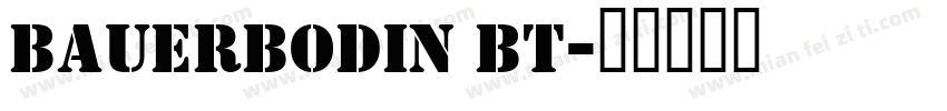 bauerbodin bt字体转换